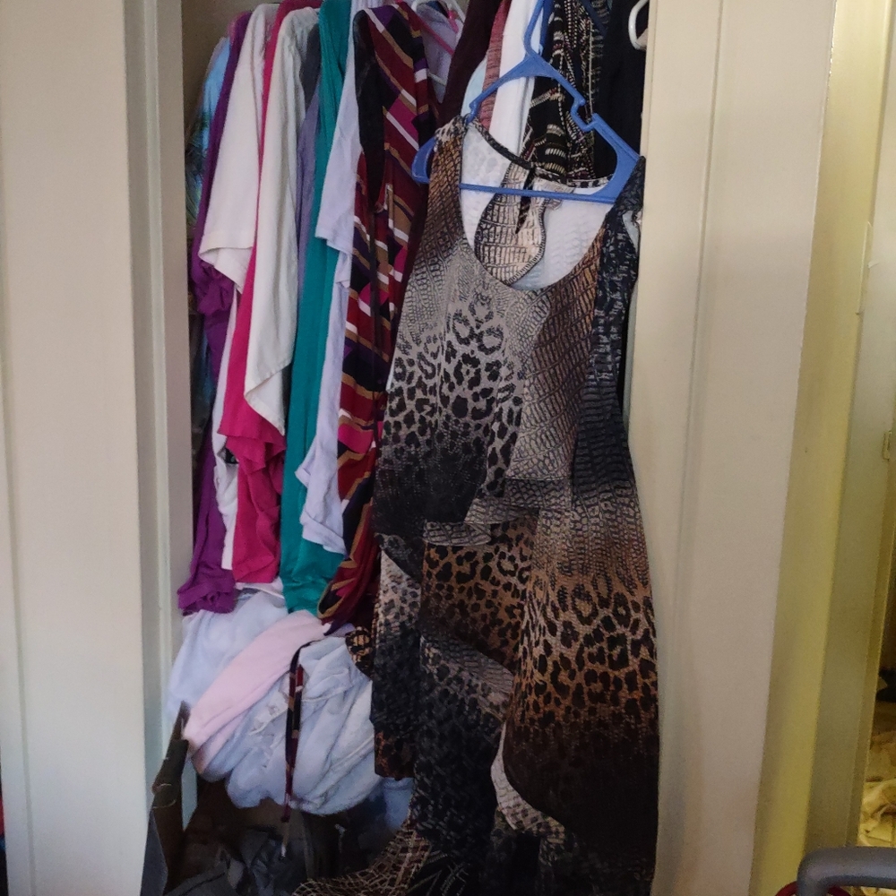 Women's plus size leopard print top